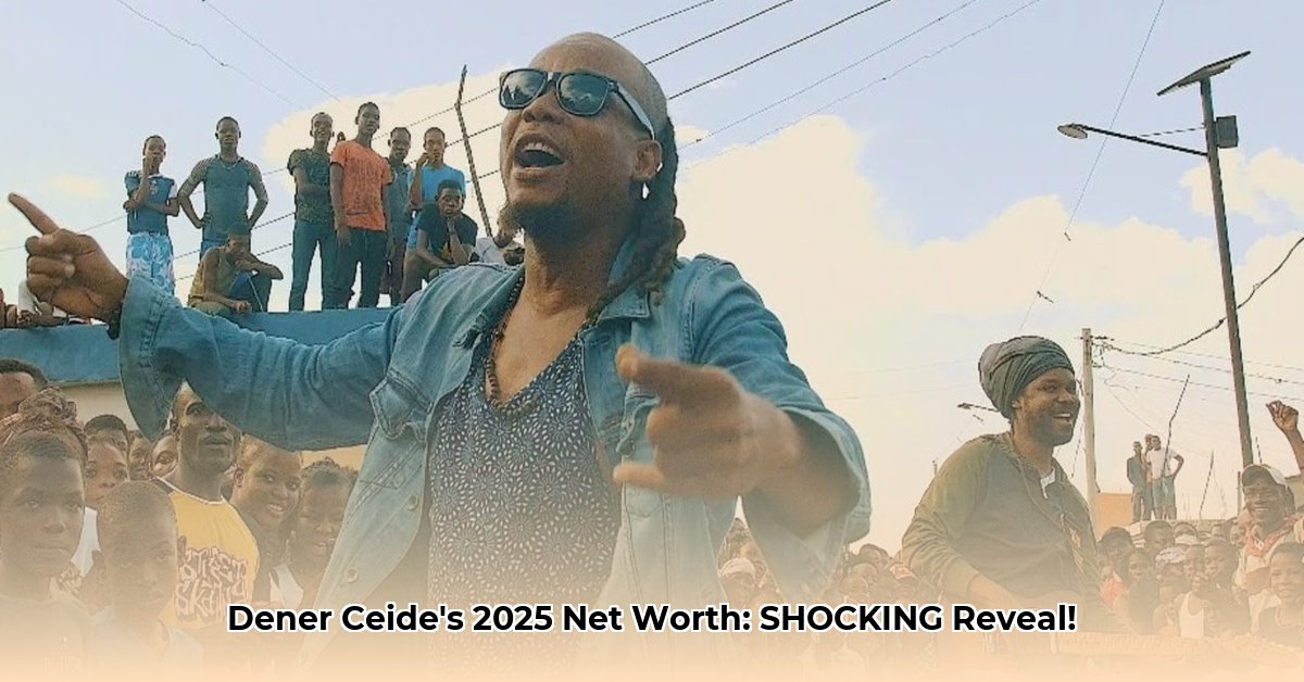 dener-ceide-net-worth